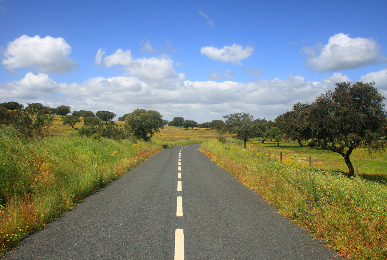 exchange-your-driving-licence-in-portugal-estremoz-guide