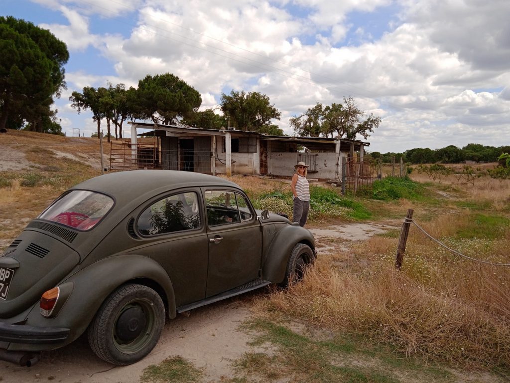 VW road trip Alentejo