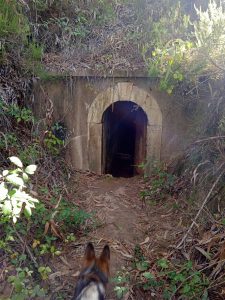 Tunel das Fradinhos