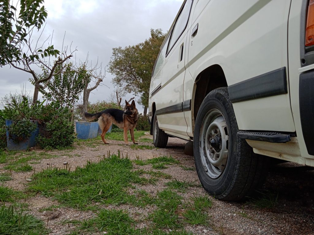 Camping Alentejo