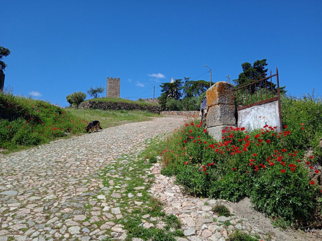 Arraiolas castle