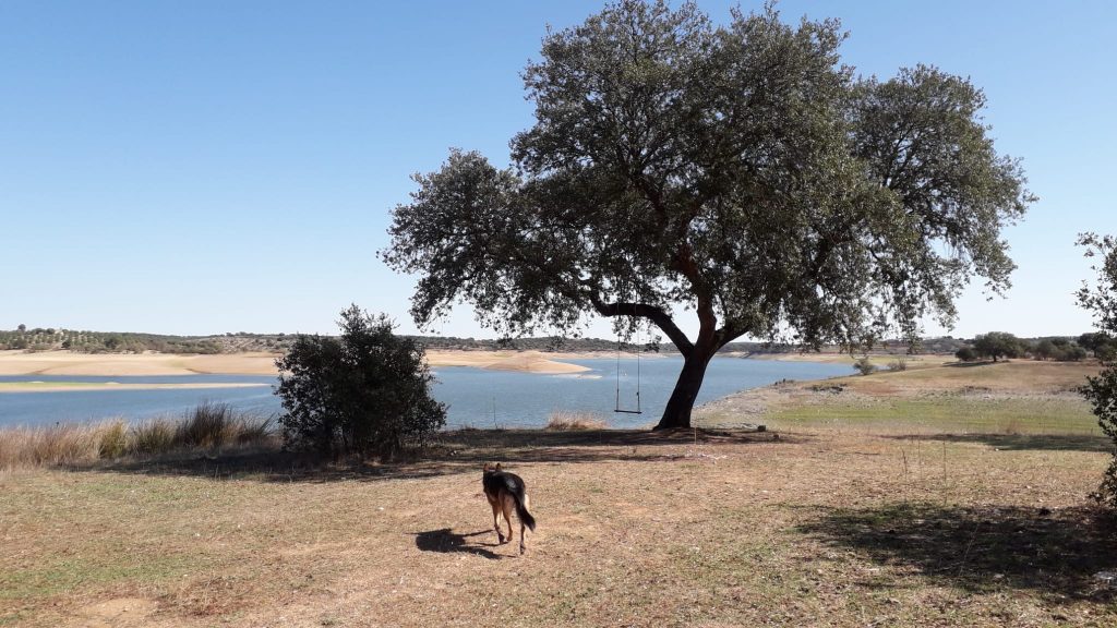 Maranhao, Avis