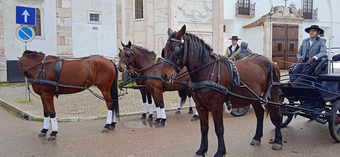 Horse buggy Estremoz