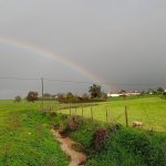 Before the storms hit