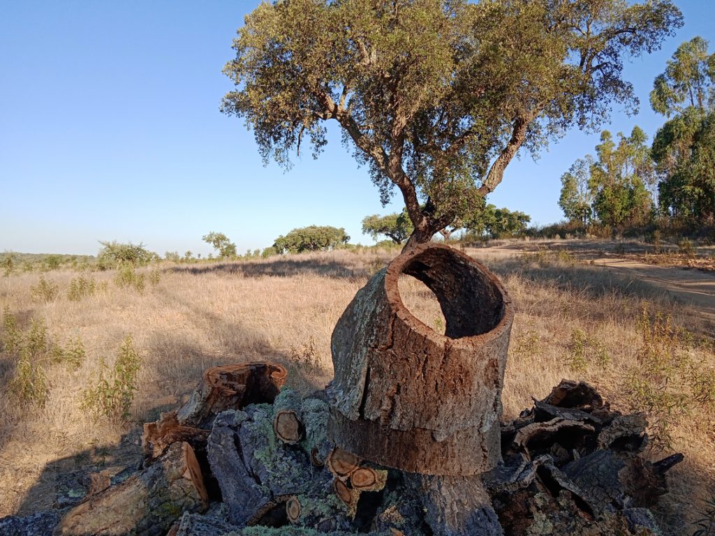 Cork Alentejo