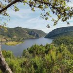 Rio Tejo at Vila Velha do Rodão