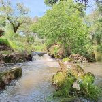 Pego da Curva, Valverde