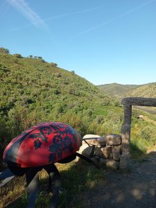 Ladybird at the Tejo