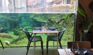 O Fluviario Restaurant